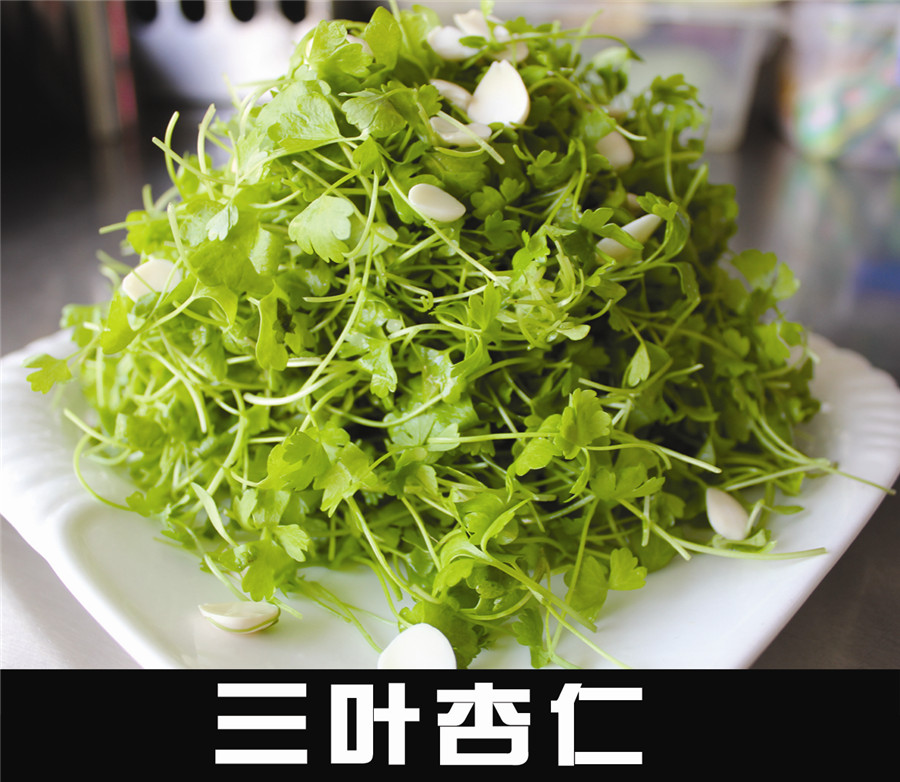 三葉杏仁